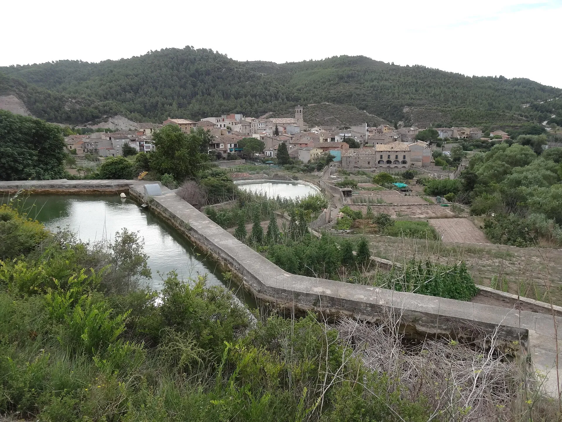 Vista de Copons